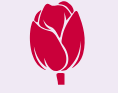 A graphic icon of a red tulip flower head.