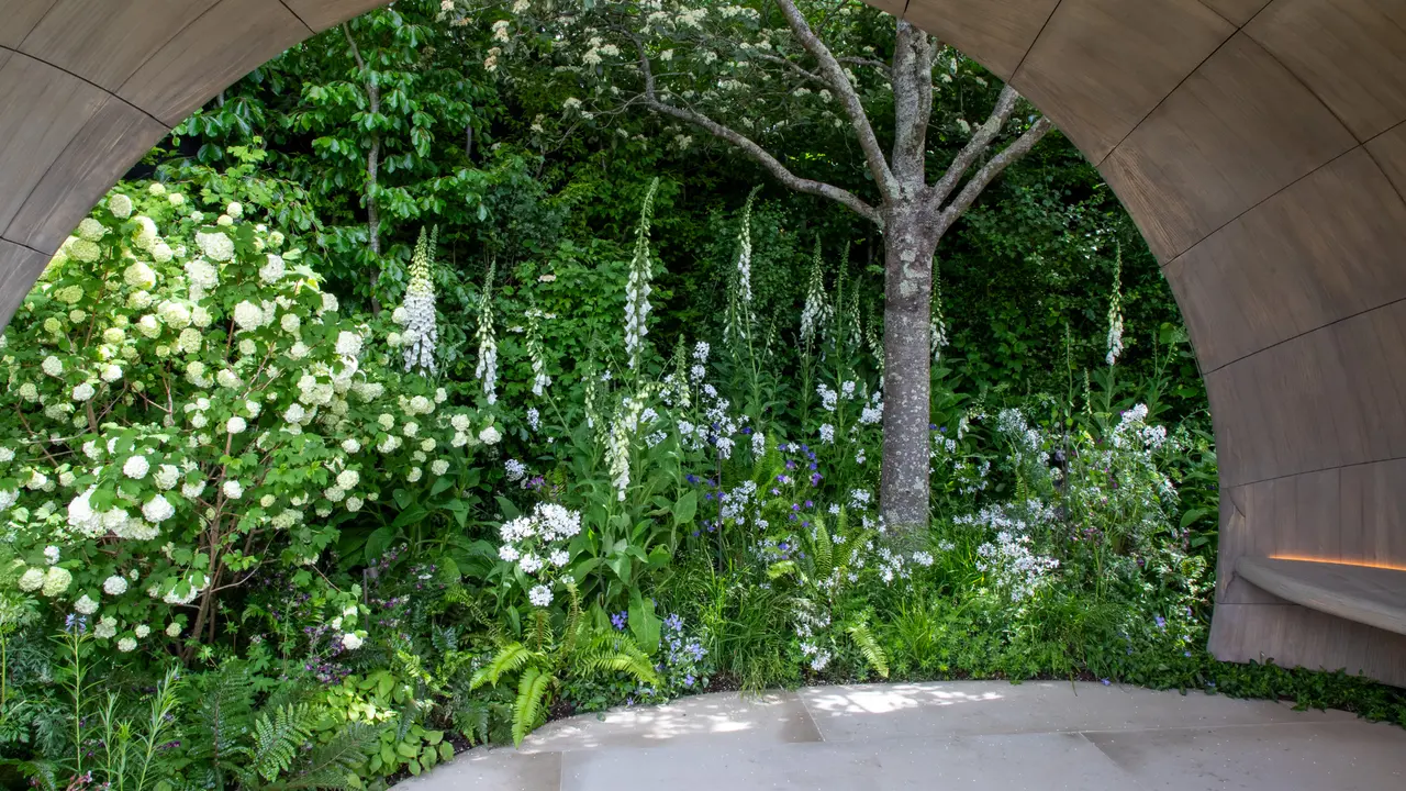 The night time section of the Parkinson's UK garden