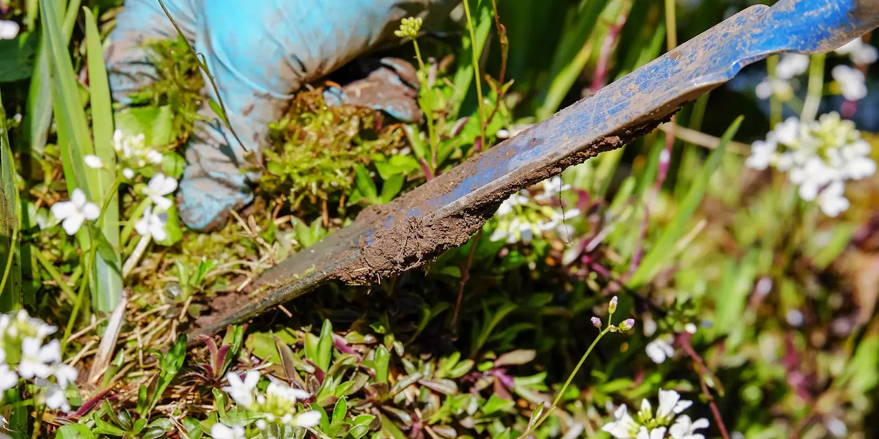 A spade digging and hand grabbing earth