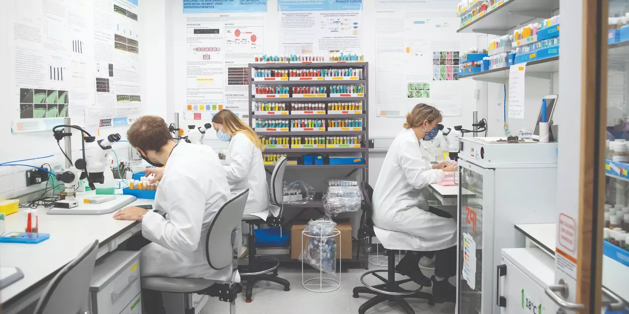 Three researchers in their lab using microscopes to conduct their research