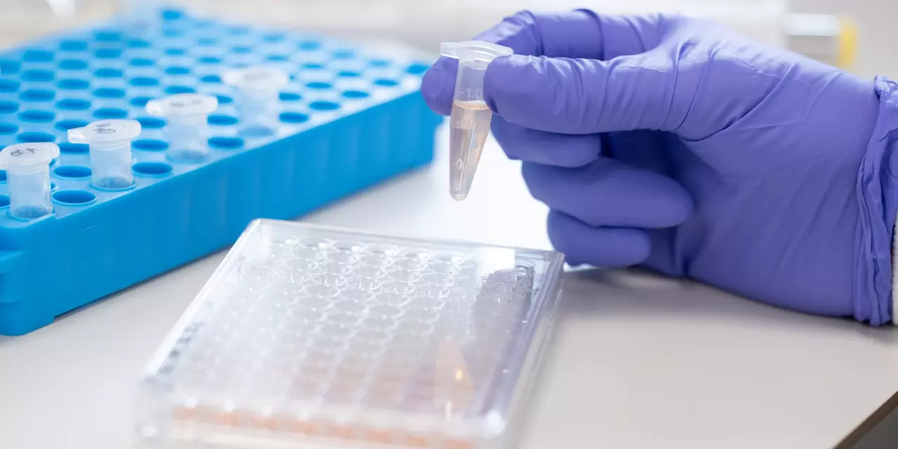 Scientist wearing a glove performing tests