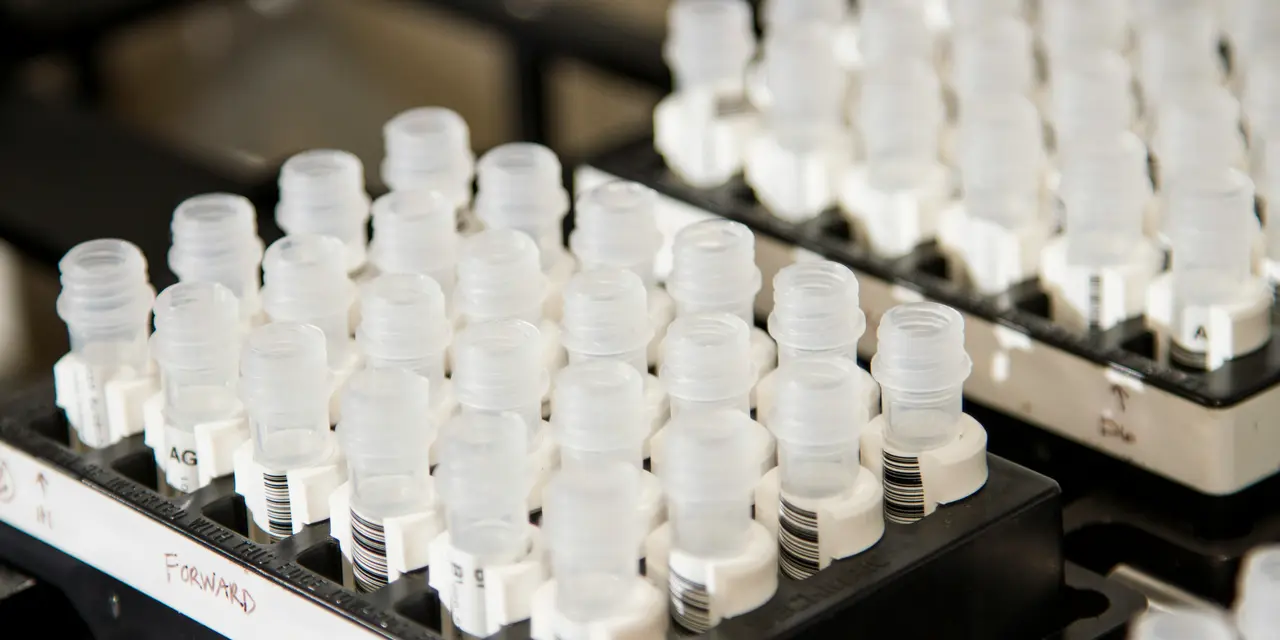 Test tubes in a laboratory