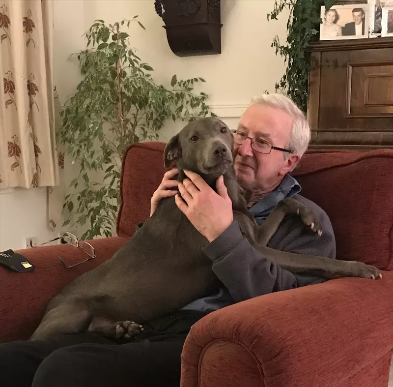 Jim is sat in a red arm chair with Bonnie, his rescue dog, on his lap. Bonnie is a medium-sized grey dog. Jim has white hair and wears glasses. He is wearing black trousers and a navy blue jumper. 