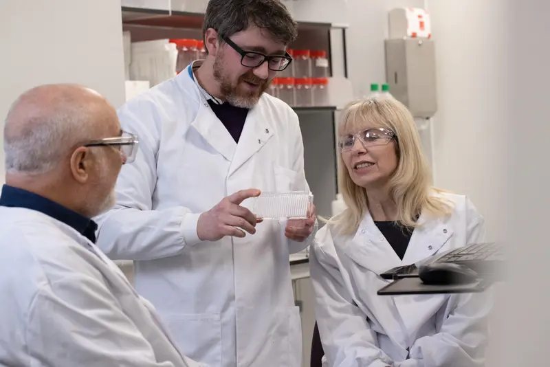 3 research professionals in conversation