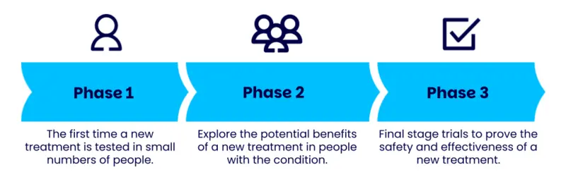 Phases of research infographic